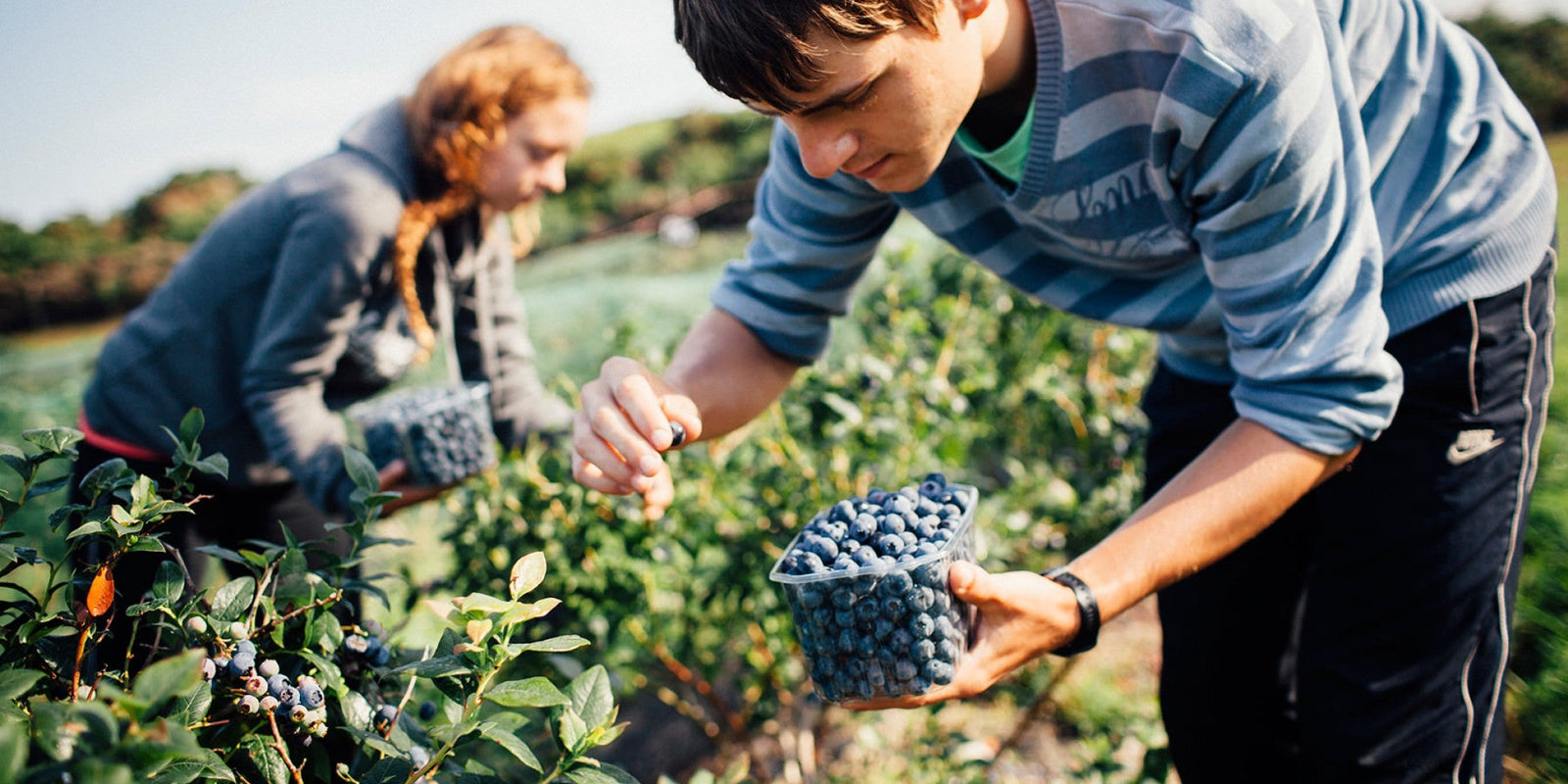 A green choice is a Lush choice