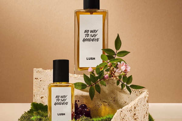 How to choose a perfume online