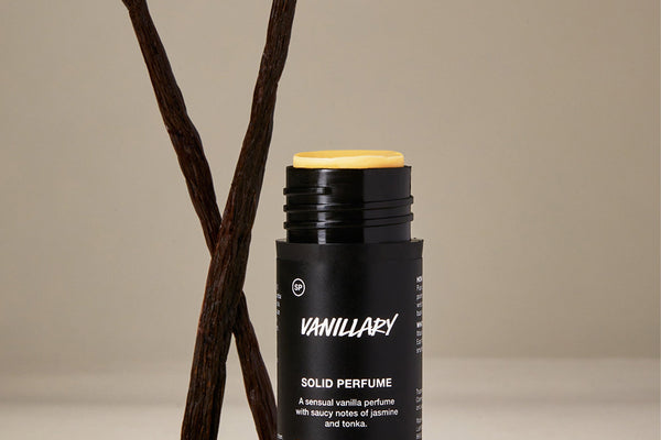 How essential oils and absolutes are made