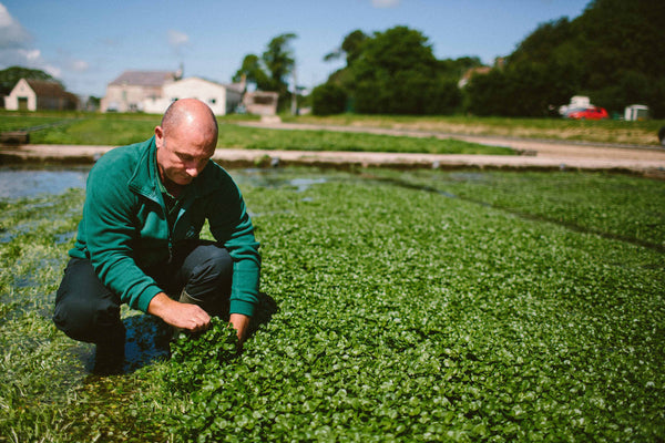 Our stance on Fair Trade