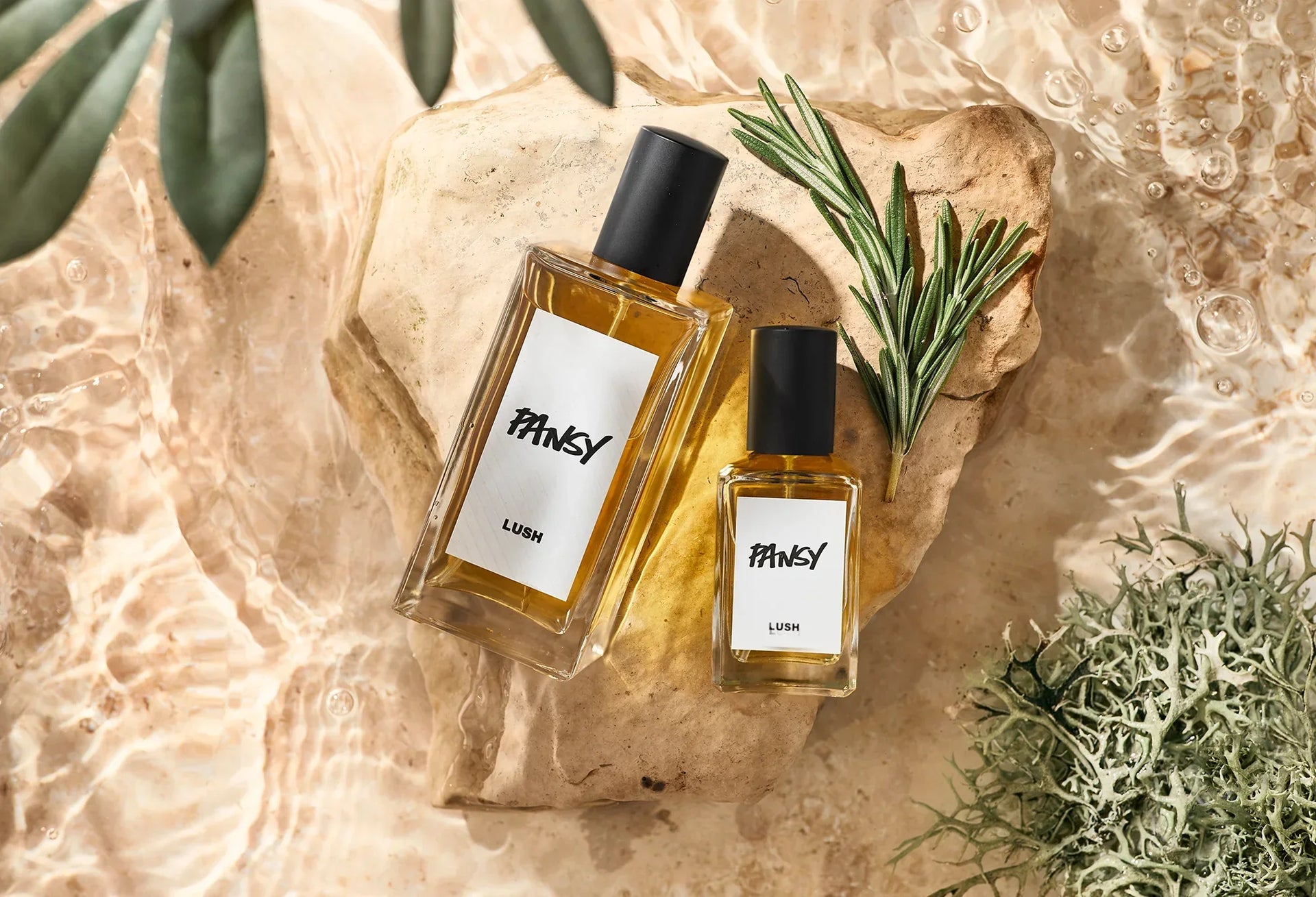 Scent