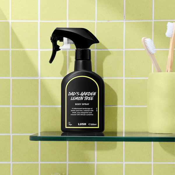 Dad's Garden Lemon Tree