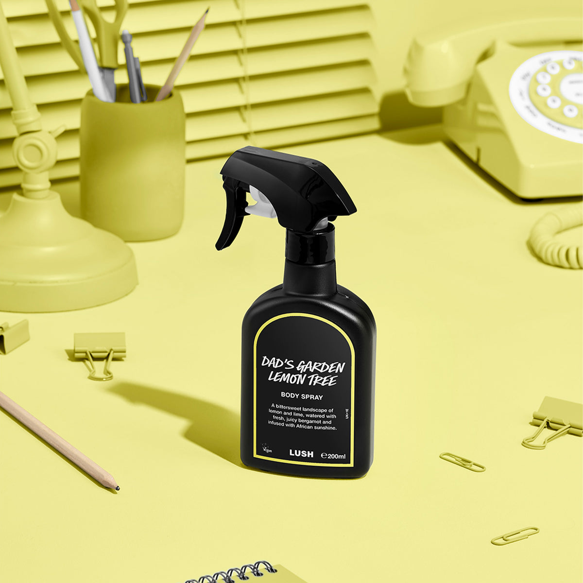 Dad's Garden Lemon Tree