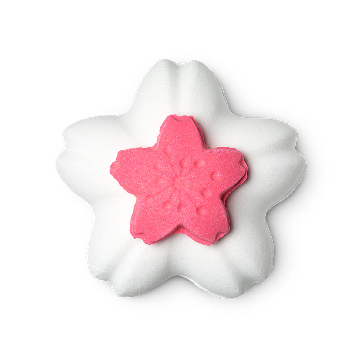 Blooming Cherry Blossoms