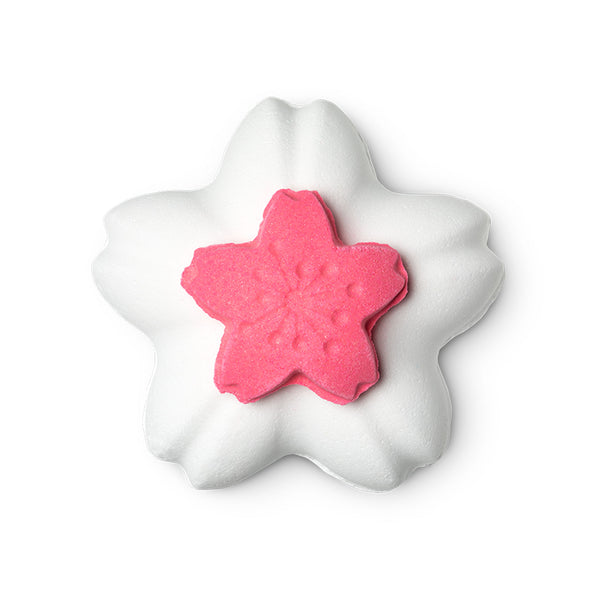 Blooming Cherry Blossoms