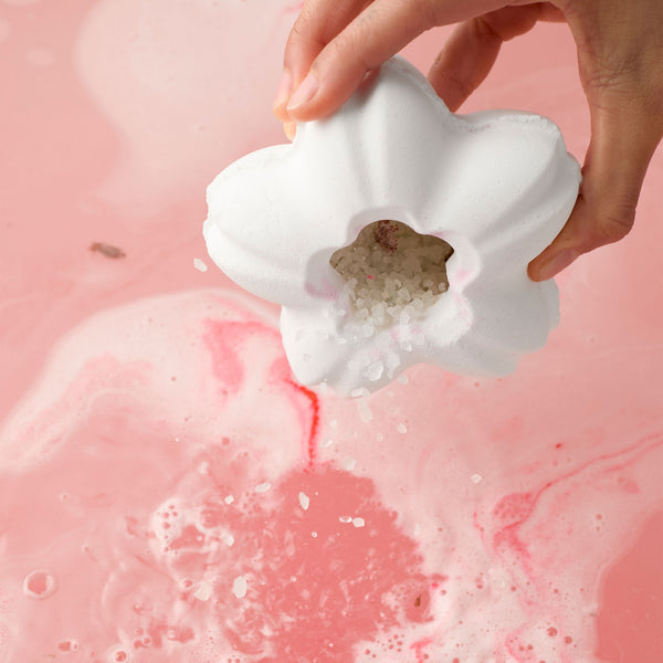 Blooming Cherry Blossoms