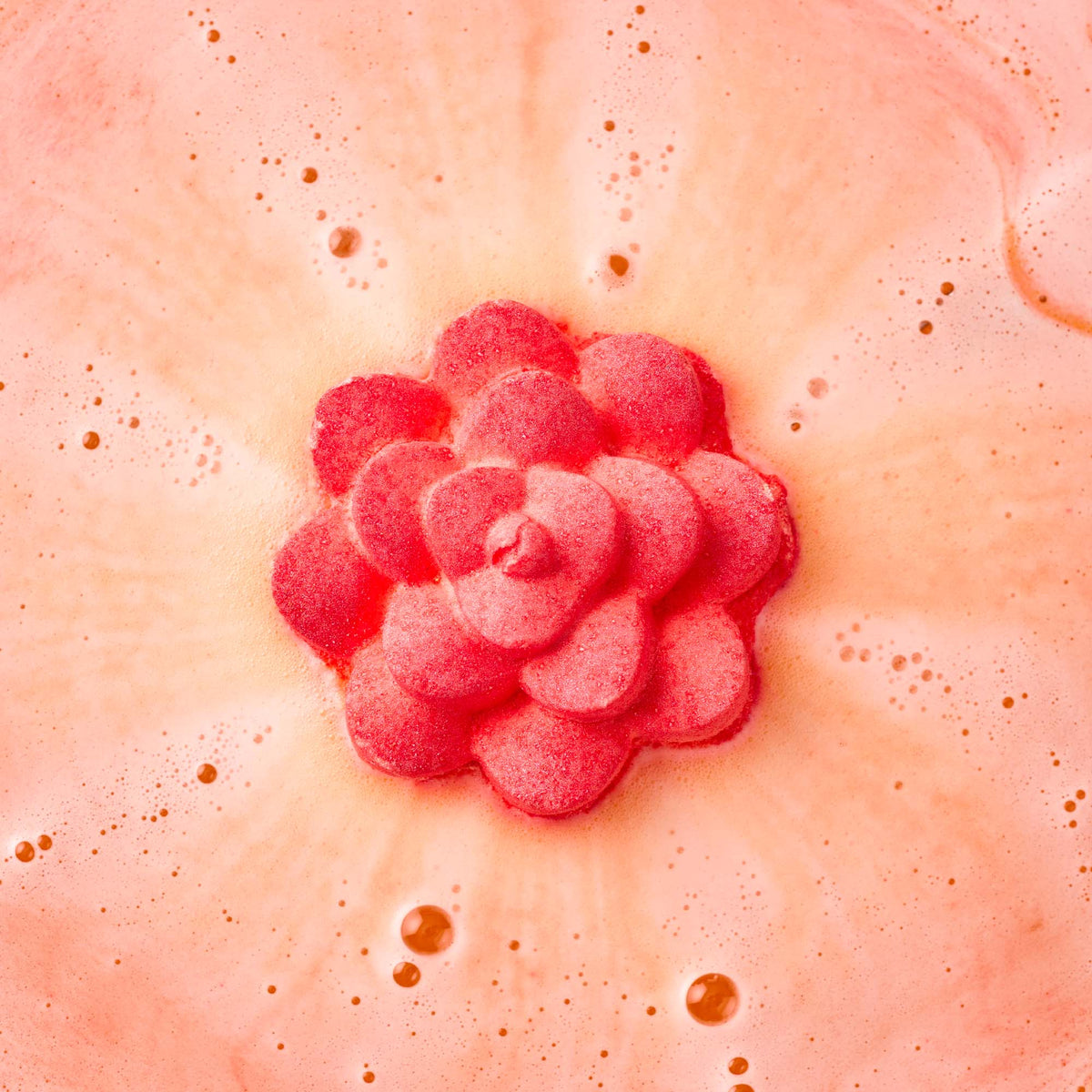Comforter Rose