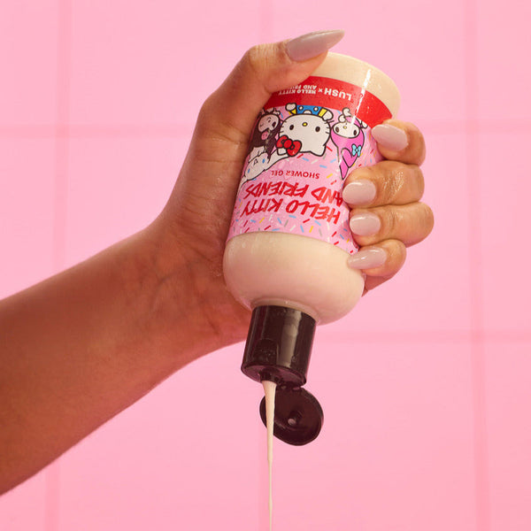 Hello Kitty And Friends