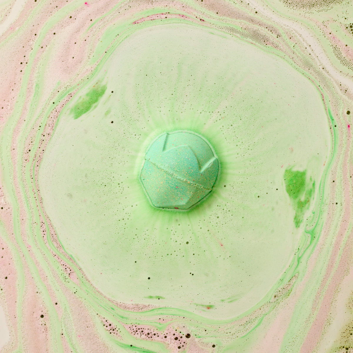Lord of Misrule