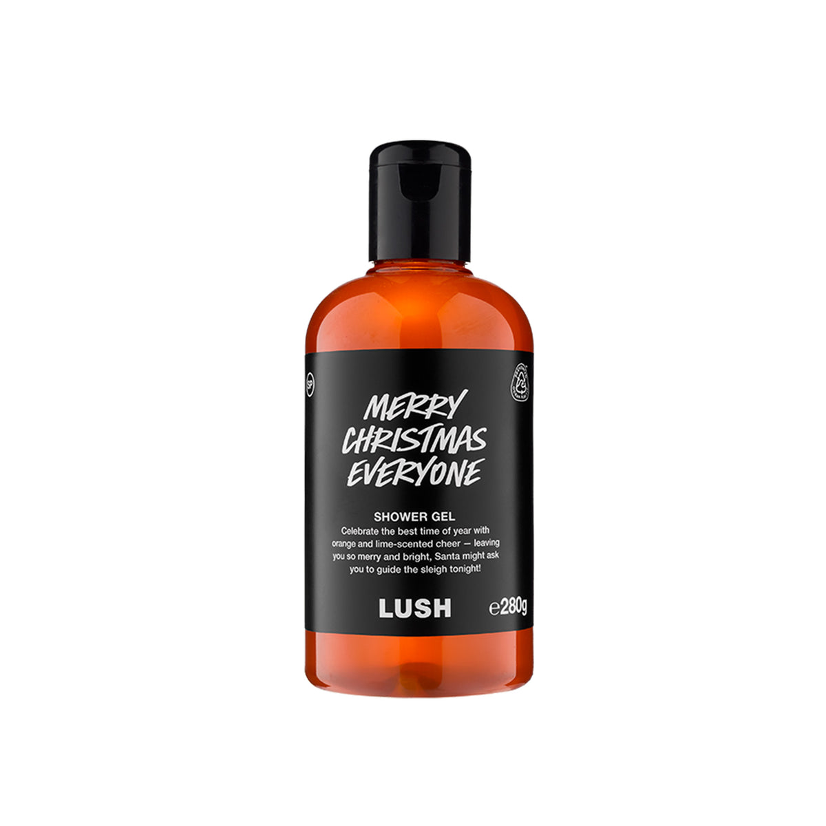 Merry Christmas Everyone