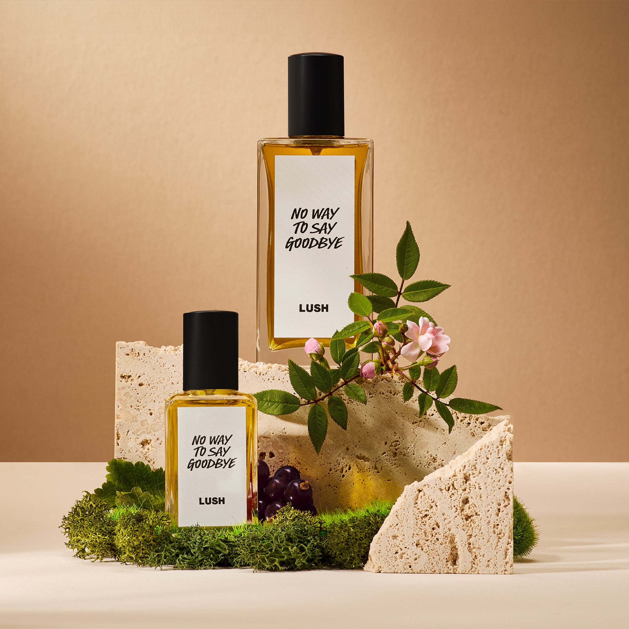 No Way to Say Goodbye – LUSH Hellas