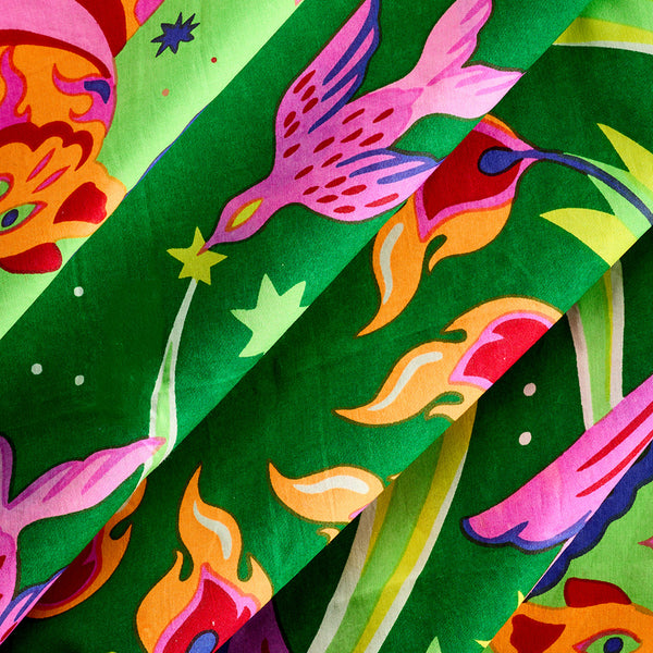 Roar And Shine