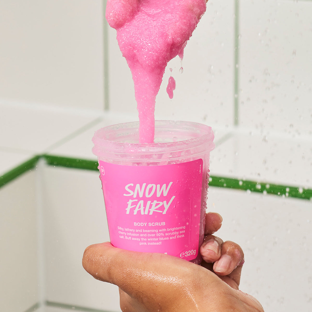 Snow Fairy
