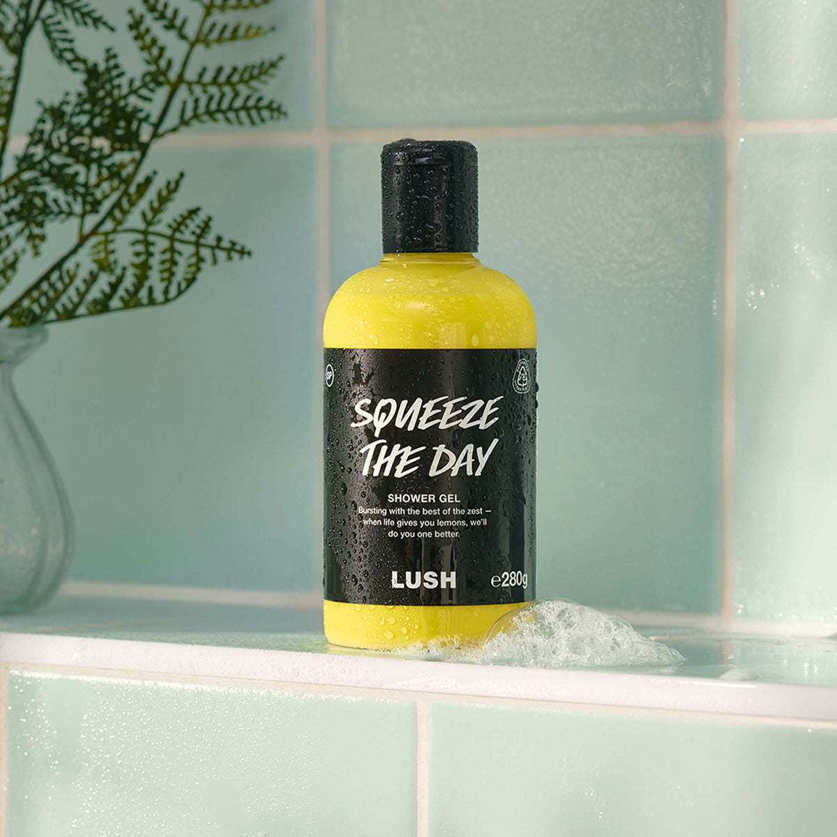 Squeeze The Day