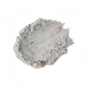 Blueberry Roly Poly