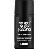 No Way to Say Goodbye