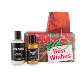 Best Wishes