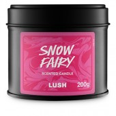 Snow Fairy
