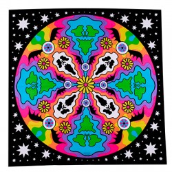 Cosmic Gathering