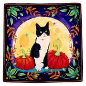 Luna The Cat