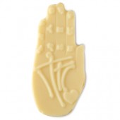Palm Reader