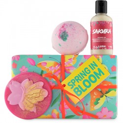 Spring In Bloom